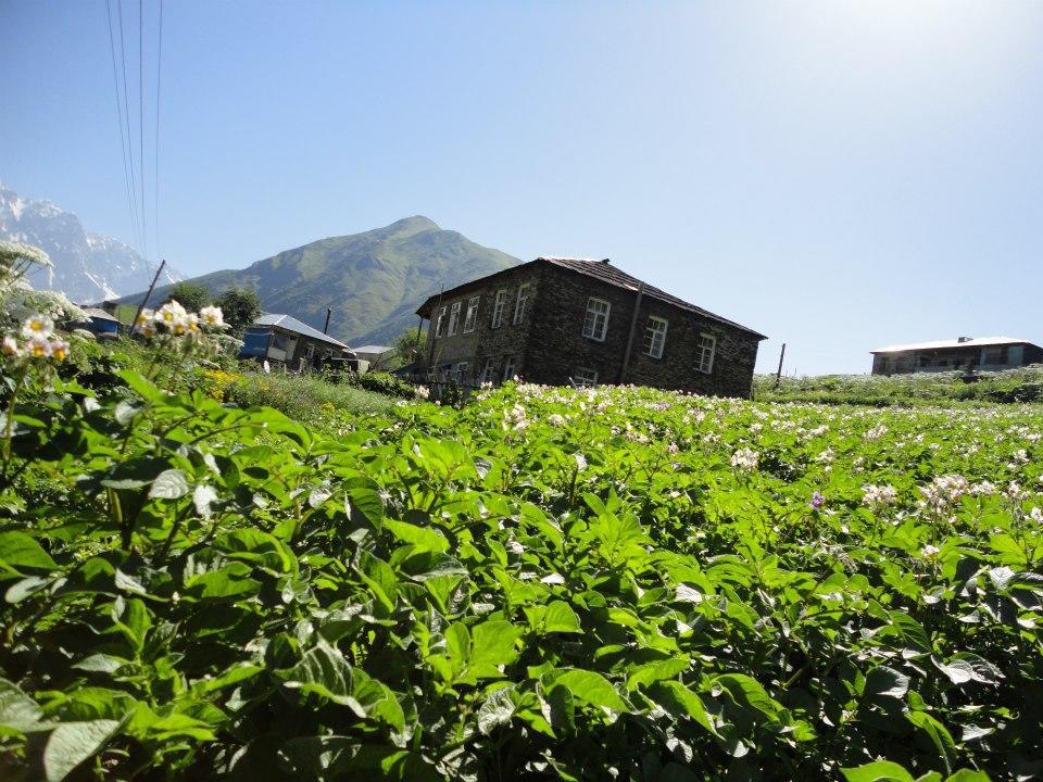Caucasus Guesthouse Ushguli Bagian luar foto